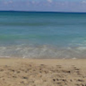 Meet your Posher, Lynn